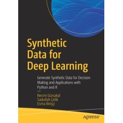 Synthetic Data for Deep Learning: Generate Synthetic Data for Decision Making and Applications with Python and R