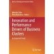 Innovation and Performance Drivers of Business Clusters: An Empirical Study