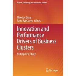 Innovation and Performance Drivers of Business Clusters: An Empirical Study
