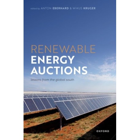Renewable Energy Auctions: Lessons from the Global South