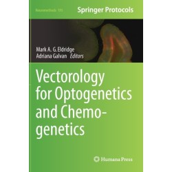 Vectorology for Optogenetics and Chemogenetics
