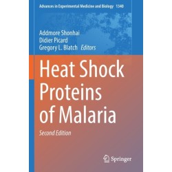 Heat Shock Proteins of Malaria