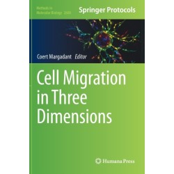 Cell Migration in Three Dimensions