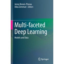 Multi-faceted Deep Learning: Models and Data