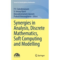 Synergies in Analysis, Discrete Mathematics, Soft Computing and Modelling