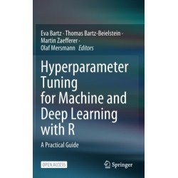 Hyperparameter Tuning for Machine and Deep Learning with R: A Practical Guide