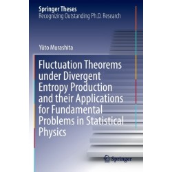 Fluctuation Theorems under Divergent Entropy Production and their Applications for Fundamental Problems in Statistical Physics
