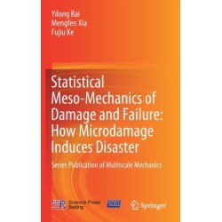 Statistical Meso-Mechanics of Damage and Failure: How Microdamage Induces Disaster: Series Publication of Multiscale Mechanics