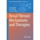 Renal Fibrosis: Mechanisms and Therapies