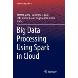 Big Data Processing Using Spark in Cloud