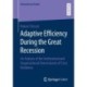 Adaptive Efficiency During the Great Recession: An Analysis of the Institutional and Organizational Determinants of Crisis Resilience