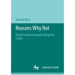 Reasons Why Not: On the Positive Grounds of Negative Truths