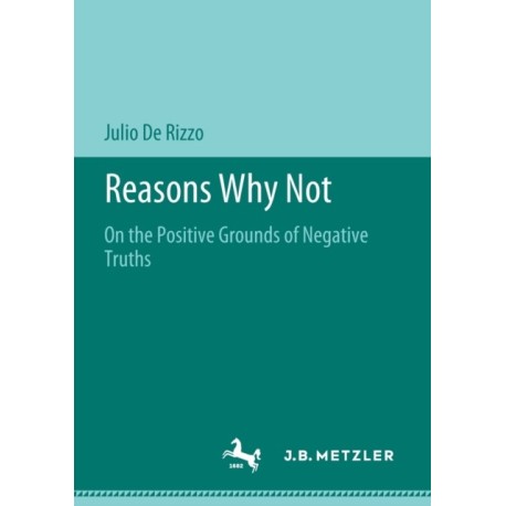 Reasons Why Not: On the Positive Grounds of Negative Truths