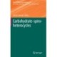 Carbohydrate-spiro-heterocycles