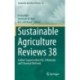 Sustainable Agriculture Reviews 38: Carbon Sequestration Vol. 2 Materials and Chemical Methods