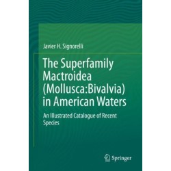 The Superfamily Mactroidea (Mollusca:Bivalvia) in American Waters: An Illustrated Catalogue of Recent Species
