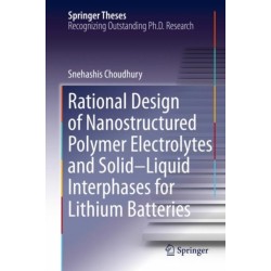 Rational Design of Nanostructured Polymer Electrolytes and Solid–Liquid Interphases for Lithium Batteries