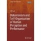Determinism and Self-Organization of Human Perception and Performance