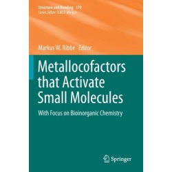 Metallocofactors that Activate Small Molecules: With Focus on Bioinorganic Chemistry