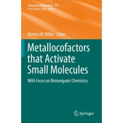 Metallocofactors that Activate Small Molecules: With Focus on Bioinorganic Chemistry