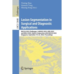 Lesion Segmentation in Surgical and Diagnostic Applications: MICCAI 2022 Challenges, CuRIOUS 2022, KiPA 2022 and MELA 2022, Held in Conjunction with MICCAI 2022, Singapore, September 18–22, 2022, Proceedings