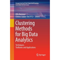 Clustering Methods for Big Data Analytics: Techniques, Toolboxes and Applications