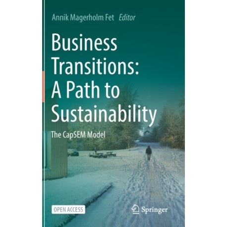 Business Transitions: A Path to Sustainability: The CapSEM Model