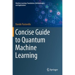 Concise Guide to Quantum Machine Learning