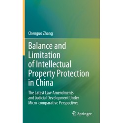 Balance and Limitation of Intellectual Property Protection in China: The Latest Law Amendments and Judicial Development Under Micro-comparative Perspectives
