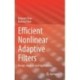 Efficient Nonlinear Adaptive Filters: Design, Analysis and Applications
