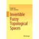 Invertible Fuzzy Topological Spaces