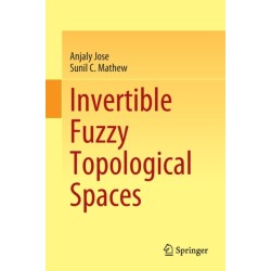 Invertible Fuzzy Topological Spaces
