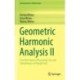 Geometric Harmonic Analysis II: Function Spaces Measuring Size and Smoothness on Rough Sets