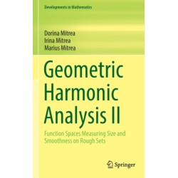 Geometric Harmonic Analysis II: Function Spaces Measuring Size and Smoothness on Rough Sets