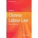 Chinese Labour Law: Theory and Practice