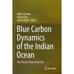 Blue Carbon Dynamics of the Indian Ocean: The Present State of the Art