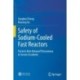 Safety of Sodium-Cooled Fast Reactors: Particle-Bed-Related Phenomena in Severe Accidents