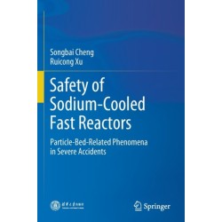 Safety of Sodium-Cooled Fast Reactors: Particle-Bed-Related Phenomena in Severe Accidents