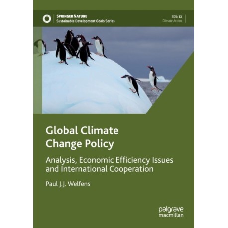 Global Climate Change Policy: Analysis, Economic Efficiency Issues and International Cooperation