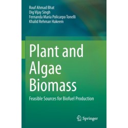 Plant and Algae Biomass: Feasible Sources for Biofuel Production