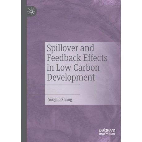 Spillover and Feedback Effects in Low Carbon Development