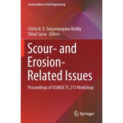 Scour- and Erosion-Related Issues: Proceedings of ISSMGE TC 213 Workshop
