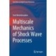 Multiscale Mechanics of Shock Wave Processes