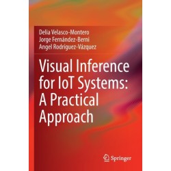 Visual Inference for IoT Systems: A Practical Approach