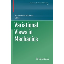 Variational Views in Mechanics