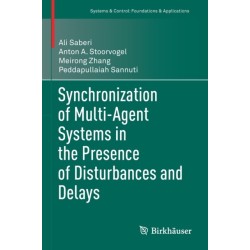 Synchronization of Multi-Agent Systems in the Presence of Disturbances and Delays