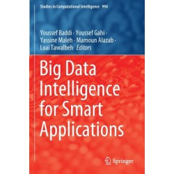 Big Data Intelligence for Smart Applications