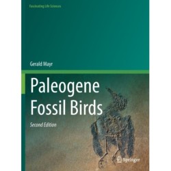 Paleogene Fossil Birds