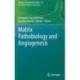 Matrix Pathobiology and Angiogenesis