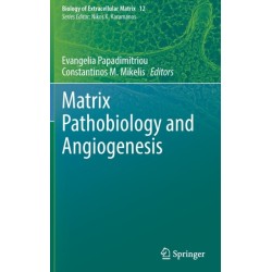 Matrix Pathobiology and Angiogenesis